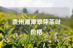 贵州湄潭翠芽茶叶价格