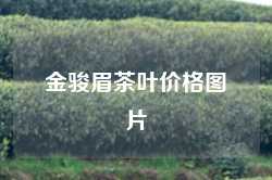 金骏眉茶叶价格图片