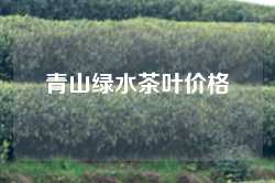 青山绿水茶叶价格