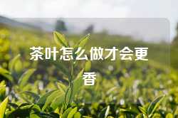 茶叶怎么做才会更香