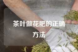 茶叶做花肥的正确方法