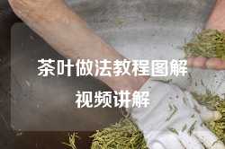 茶叶做法教程图解视频讲解