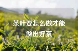 茶叶要怎么做才能做出好茶