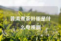 普洱煮茶叶蛋是什么电视剧