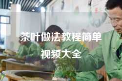 茶叶做法教程简单视频大全