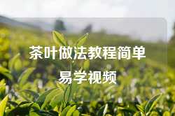 茶叶做法教程简单易学视频