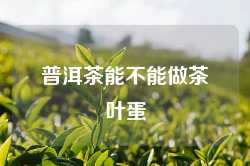 普洱茶能不能做茶叶蛋