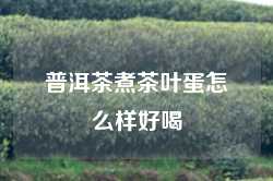 普洱茶煮茶叶蛋怎么样好喝