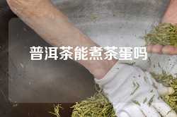 普洱茶能煮茶蛋吗