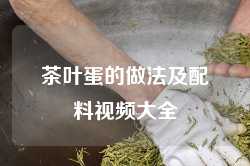 茶叶蛋的做法及配料视频大全