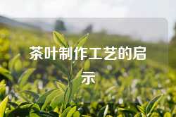 茶叶制作工艺的启示