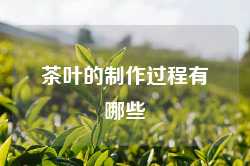 茶叶的制作过程有哪些