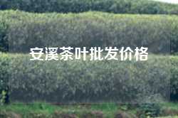安溪茶叶批发价格