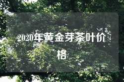 2020年黄金芽茶叶价格