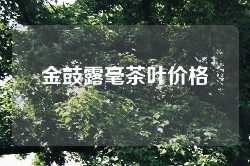 金鼓露毫茶叶价格