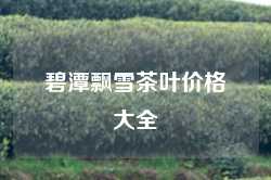 碧潭飘雪茶叶价格大全
