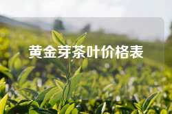 黄金芽茶叶价格表