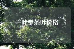 一叶参茶叶价格