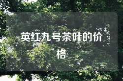 英红九号茶叶的价格