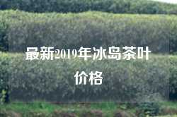 最新2019年冰岛茶叶价格