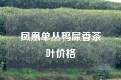 凤凰单丛鸭屎香茶叶价格