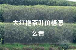 大红袍茶叶价格怎么看