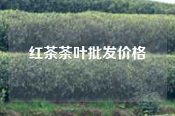 红茶茶叶批发价格