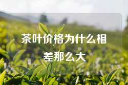 茶叶价格为什么相差那么大
